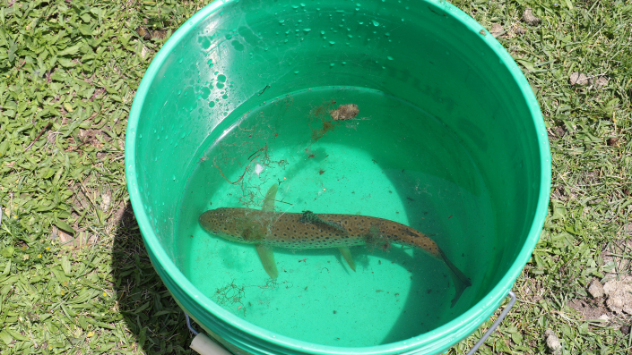 6 fishing