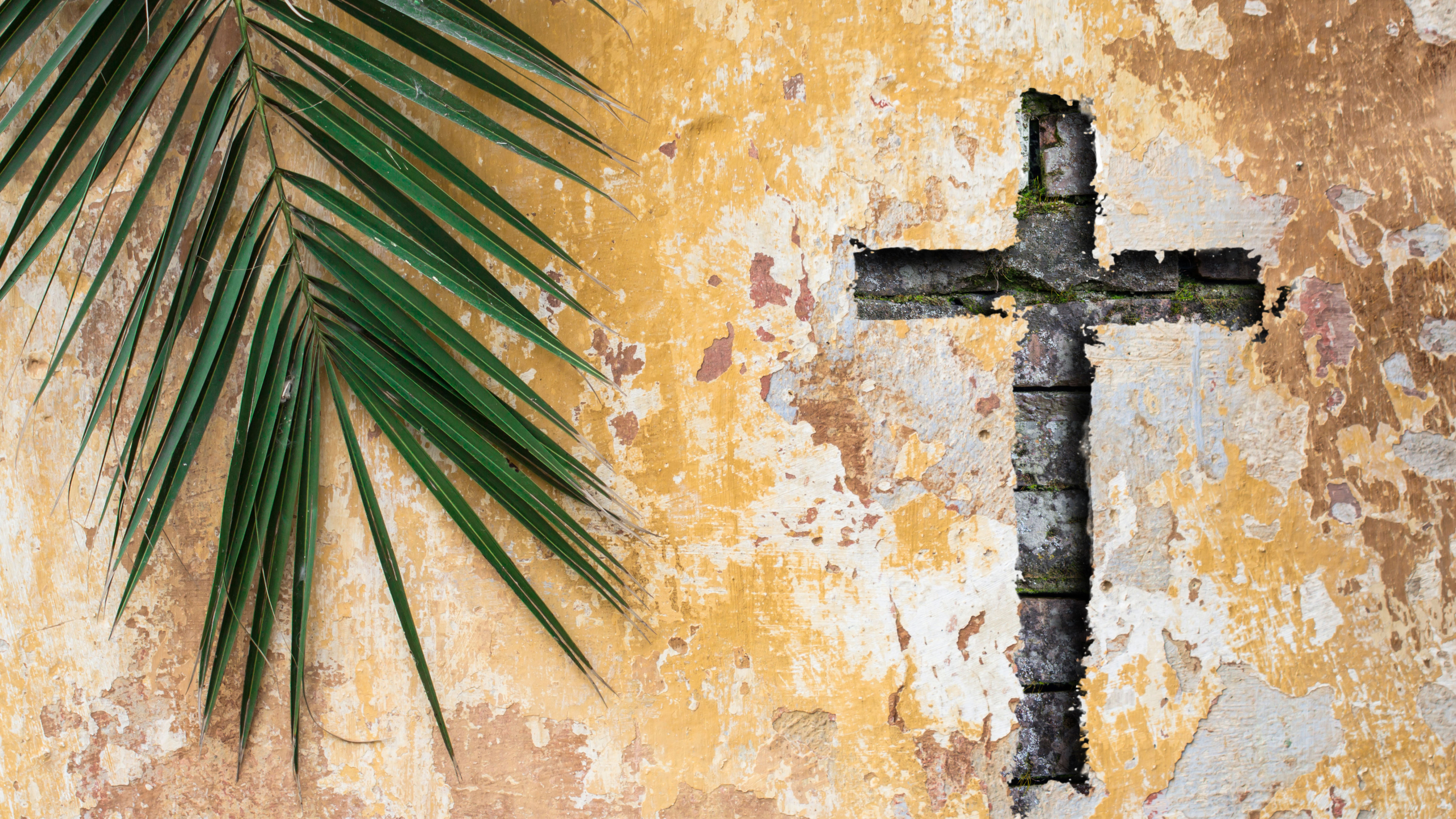 Palm sunday religion and easter holiday concept background