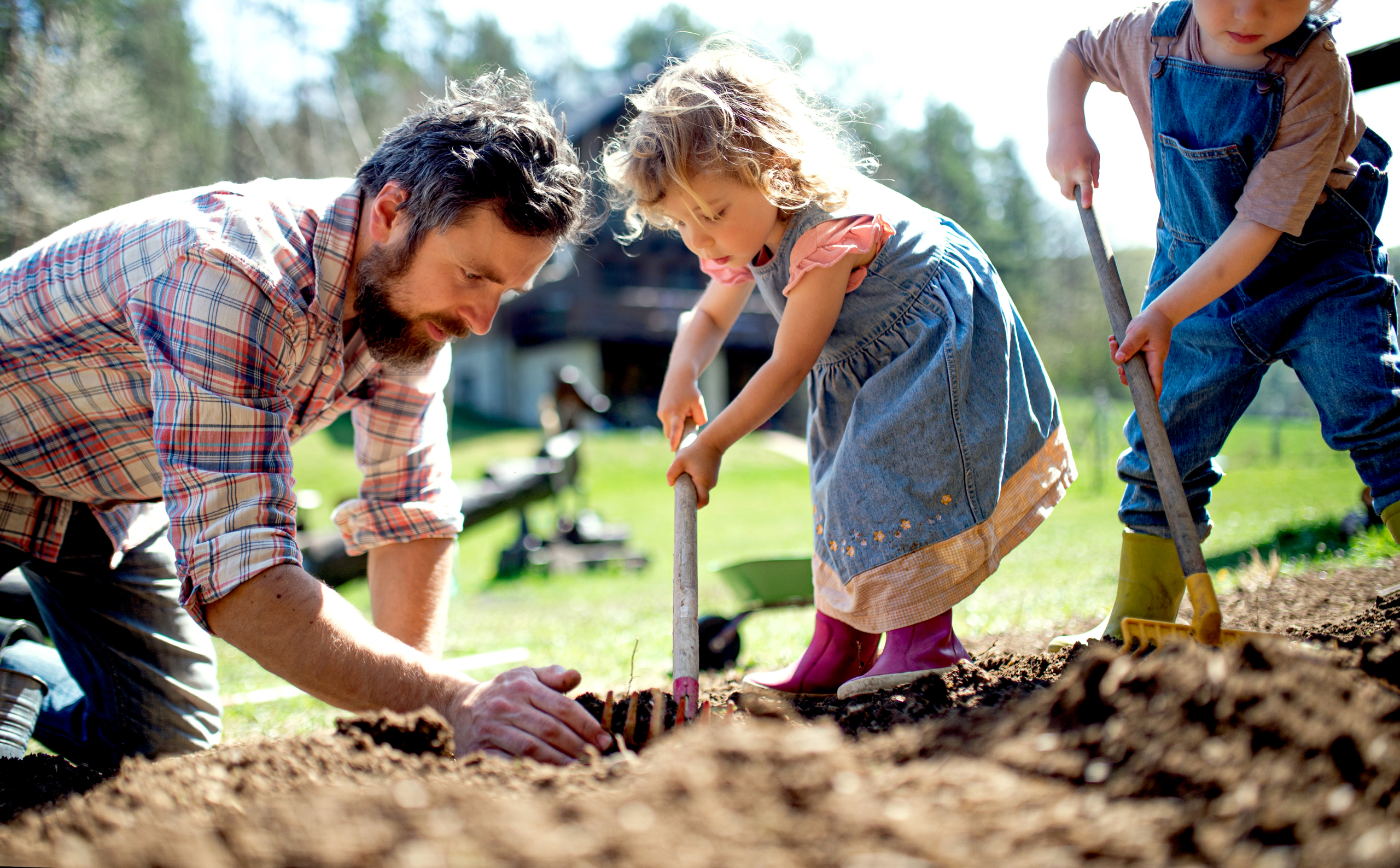 Father with small children working outdoors in garden, sustainable lifestyle concept.