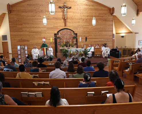 6 homily 2