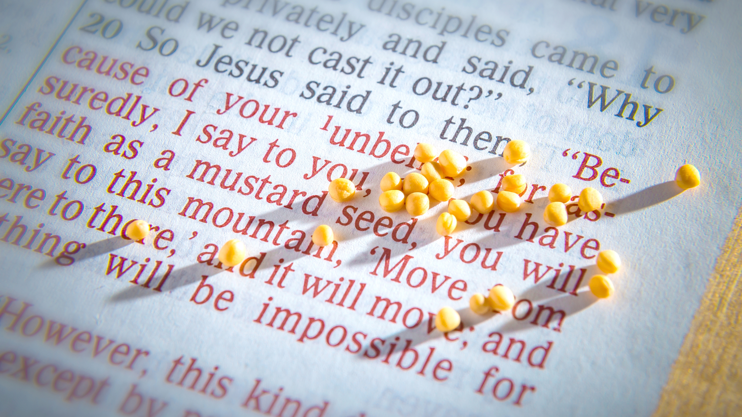 Mustard seed and open Bible
