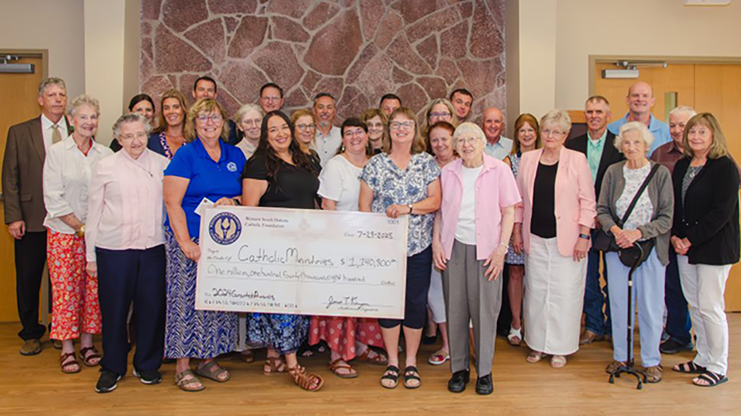 wsdcf grants